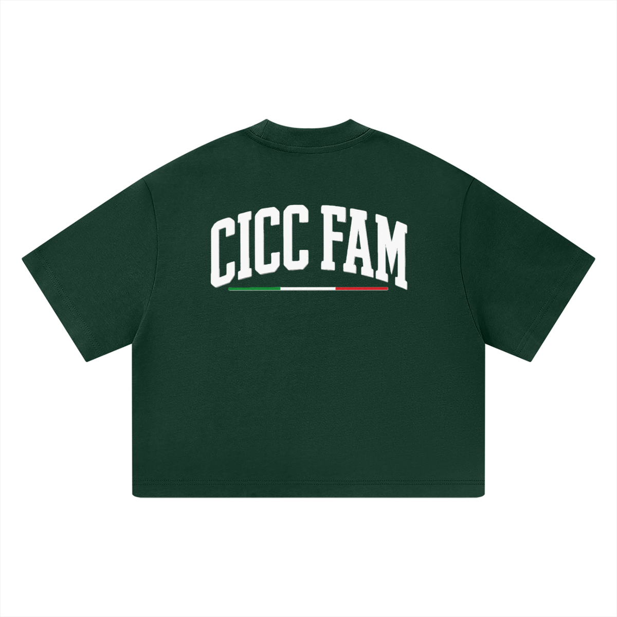 CICC FAM Unisex T-Shirt - Box Fit