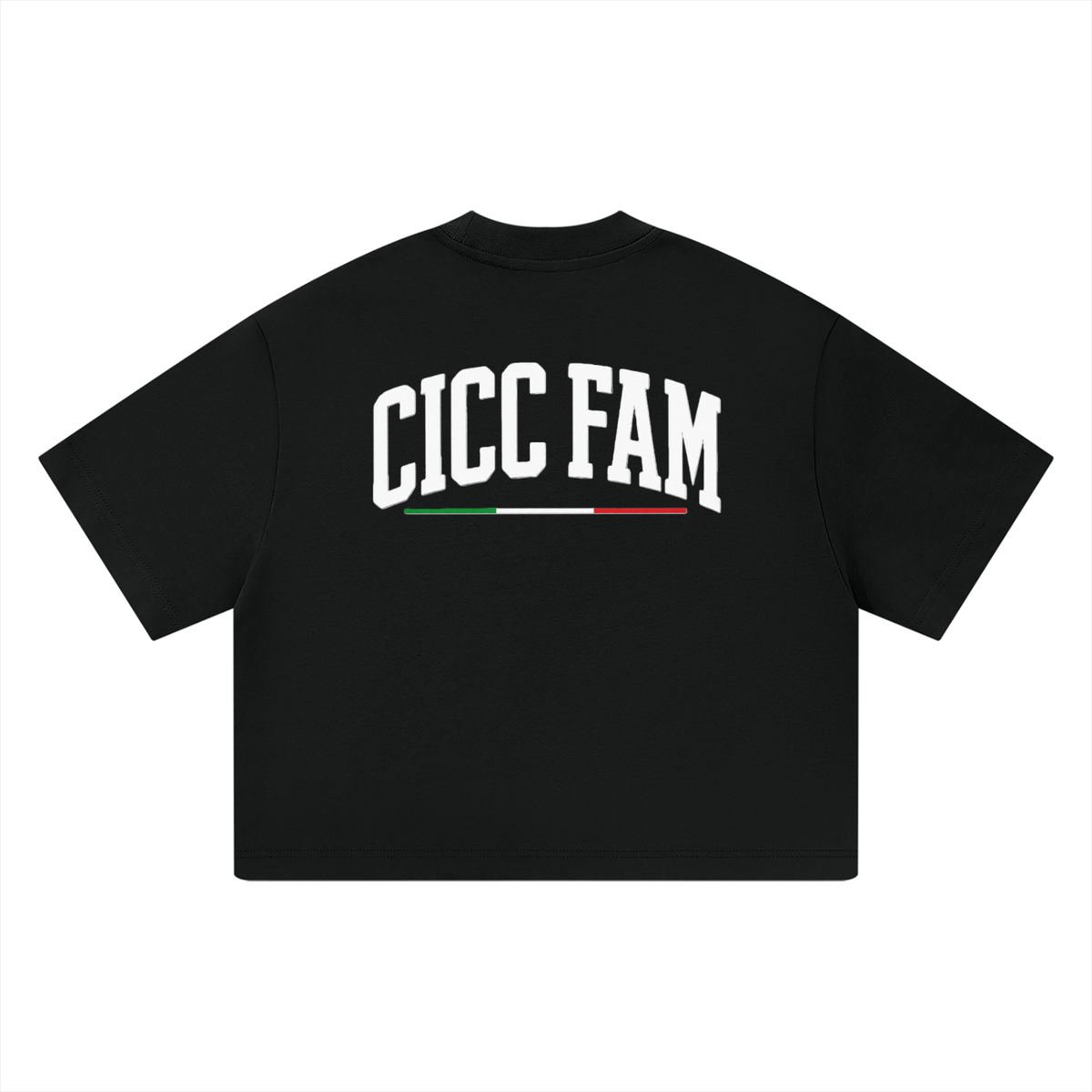 CICC FAM Unisex T-Shirt - Box Fit